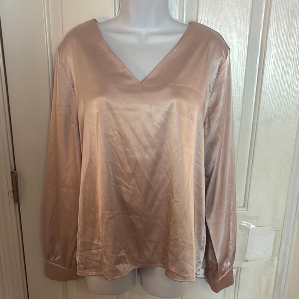 Elegant V-neck Pink Long Sleeve Blouse
